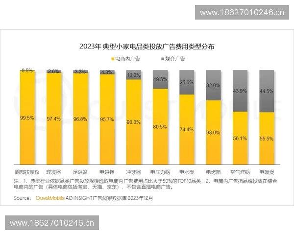 国际体育品牌跨界联名合作驱动年轻消费市场增长新趋势发展研究 国际体育品牌跨界联名合作驱动年轻消费市场增长新趋势发展研究